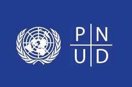 El Programa de las Naciones Unidas para el Desarrollo, 1965