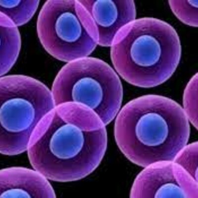 Timeline: Teoria Celular