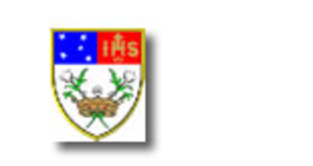 colegio são luis- Thais