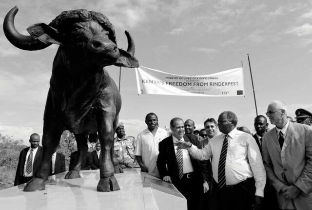 Erradicacion de la peste bubonica