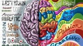 Timeline: CRONOLOGIA PSICOLOGIA