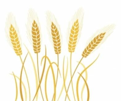 Adoption d’une règlementation européenne pour les productions végétales