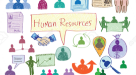 Timeline: Proceso de Gestión Humana 2020