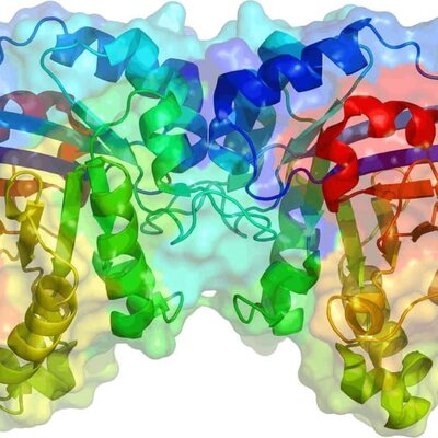 Timeline: HISTORIA DE LAS ENZIMAS