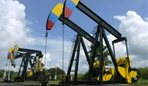 Ecopetrol en asocio con la empresa OXY se descubre el yacimiento del Campo Caño Limón, con reservas estimadas en 1.100 millones de barriles.