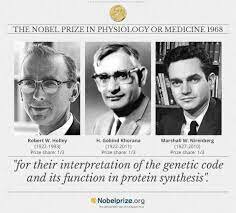 Har Gobind Khorana, Robert W. Holley y Marshall W. Nirenberg