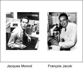 Jacques Monod y Francois Jacob