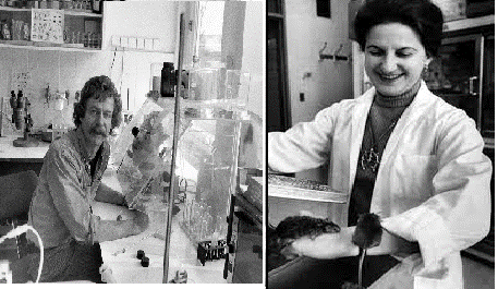 Beatrice Mintz y Rudolf Jaenisch