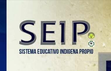 Política pública emergente de los pueblos indígenas