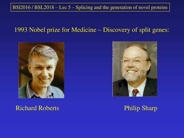 Richard John Roberts y Phillip A. Sharp