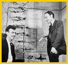 Desarrollo de la Genética