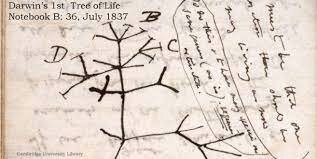 El origen de la especies