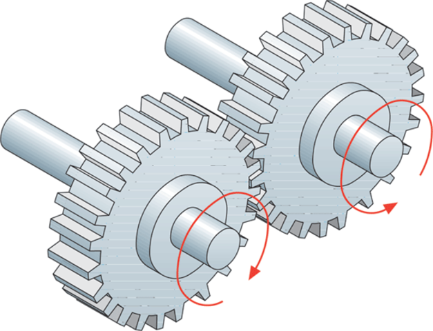 Rueda dentada-linterna