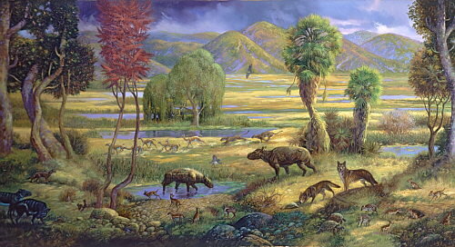 Periodo Paleoceno