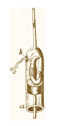 Swammerdam y los glóbulos rojos