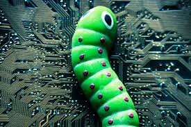 SE INFECTA EL INTERNET