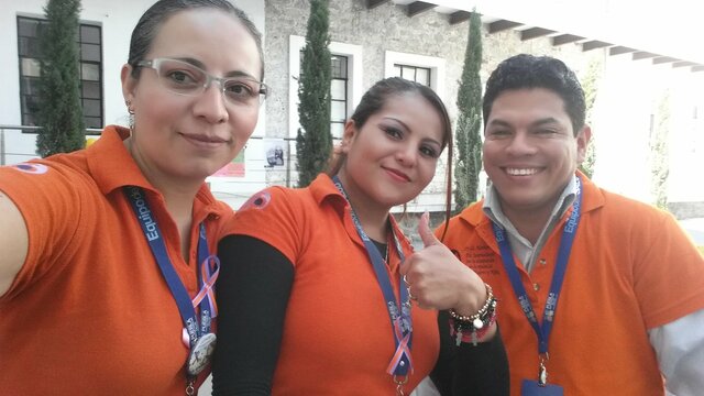 PROYECTOS PROFESINALES