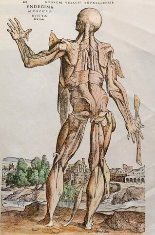 Avances científicos