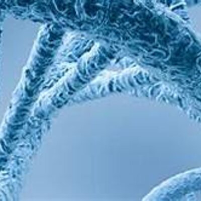 Timeline: History of Molecular Biology —Cellular and Molecular Biology— Teacher Lida Inés Mancilla Estacio. Universidad Tecnológica de Pereira.