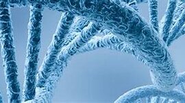 Timeline: History of Molecular Biology —Cellular and Molecular Biology— Teacher Lida Inés Mancilla Estacio. Universidad Tecnológica de Pereira.