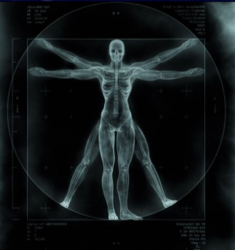 SUCESOS DEL HUMANISMO EXÓTICO