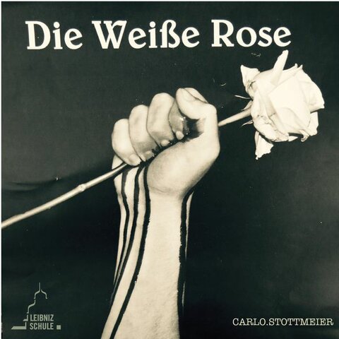 Die weiße Rose