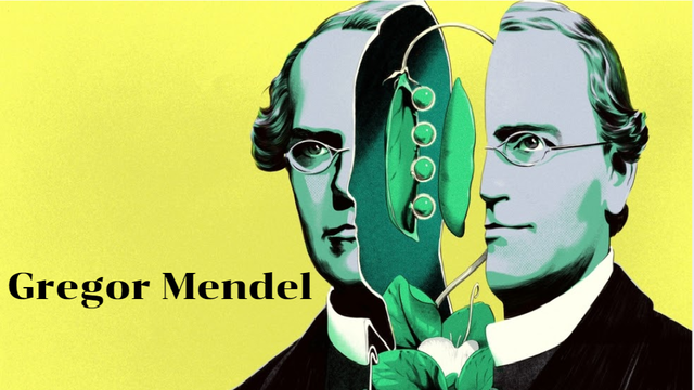 Gregor Mendel