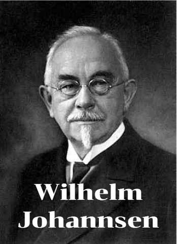 Wilhelm Johannsen