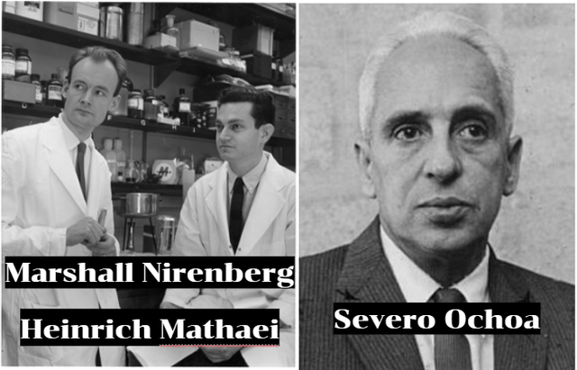 Marshall Nirenberg, Heinrich Mathaei y Severo Ochoa