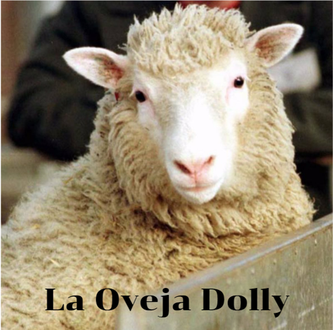 La oveja Dolly