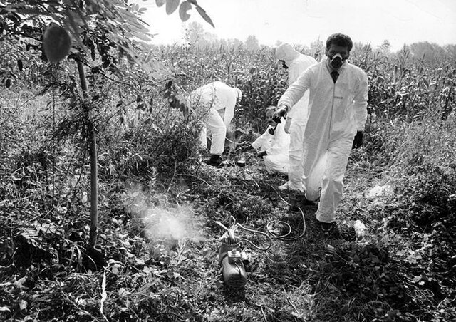 Medidas de mitigación del accidente.