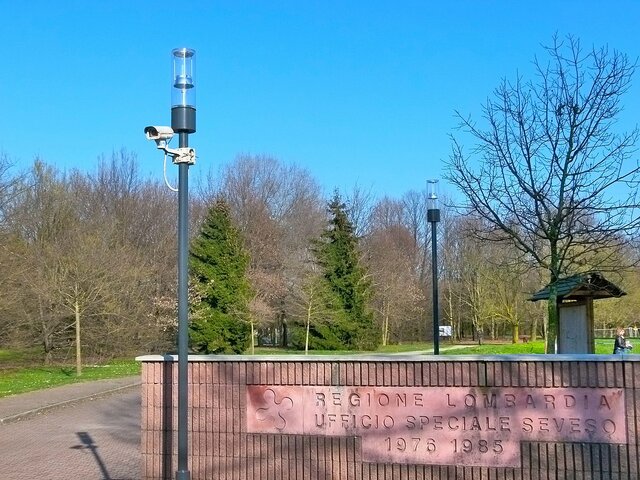 Bosque de los robles