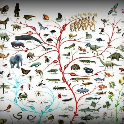 Timeline: Posturas de la evolución, Actividad Integradora 1