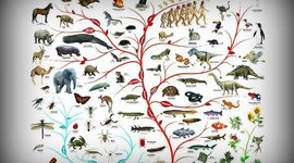 Timeline: Posturas de la evolución, Actividad Integradora 1