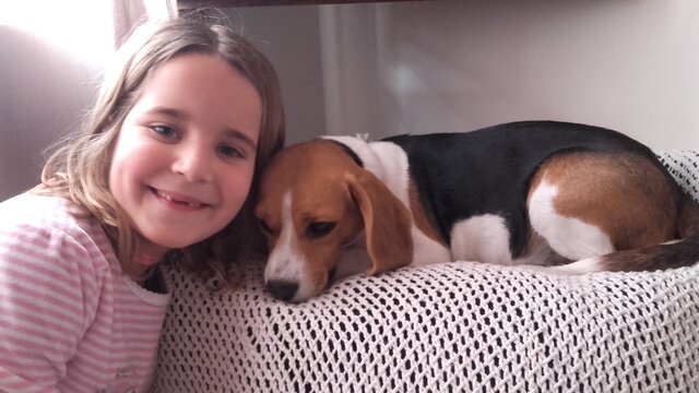 QUAN VAIG TENIR A LA MEVA GOSSA