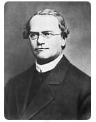 Johann Mendel