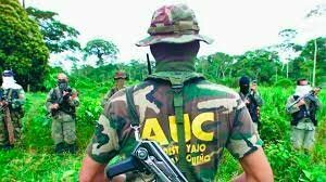 Desmovilización de las autodefensas unidas de Colombia