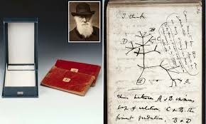 Charles Darwin- 12 February 1809 – 19 April 1882
