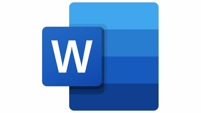 El MS WORD