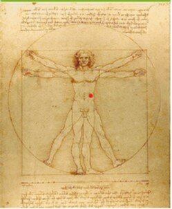 Humanismo Renacentista - periodo que abarca y los rasgos generales