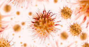 Prevención contra la sífilis