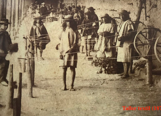 Problemáticas del Humanis Exótico