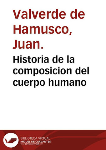 Composición del cuerpo humano