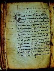 Primers textos ESCRITS