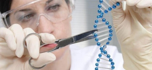 Creación de la genética