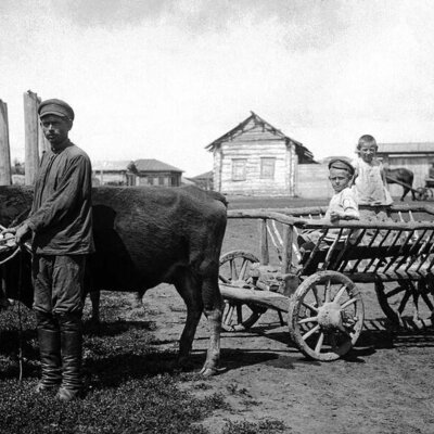 Timeline: Развитие сельского хозяйства в Игре