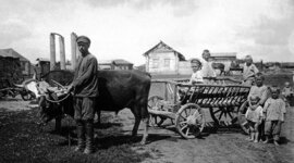 Timeline: Развитие сельского хозяйства в Игре