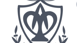 Timeline: Prezi-Powtoon-Genial.ly-Emaze-Pecha kucha