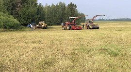 Timeline: Моё село в датах и цифрах.Знатоки удмуртии. МБОУ Игринская СОШ №4, 7в класс.