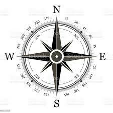 Avances científicos